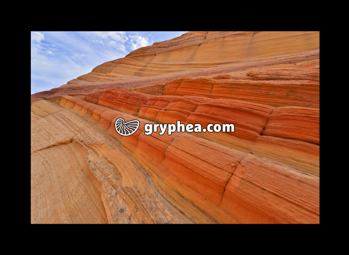 Formations gréseuses (The Wave, Utah, USA) - gryphea.com